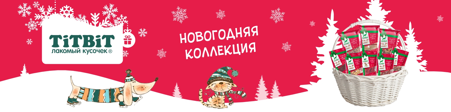 Альпинтех, Новый год, декабрь